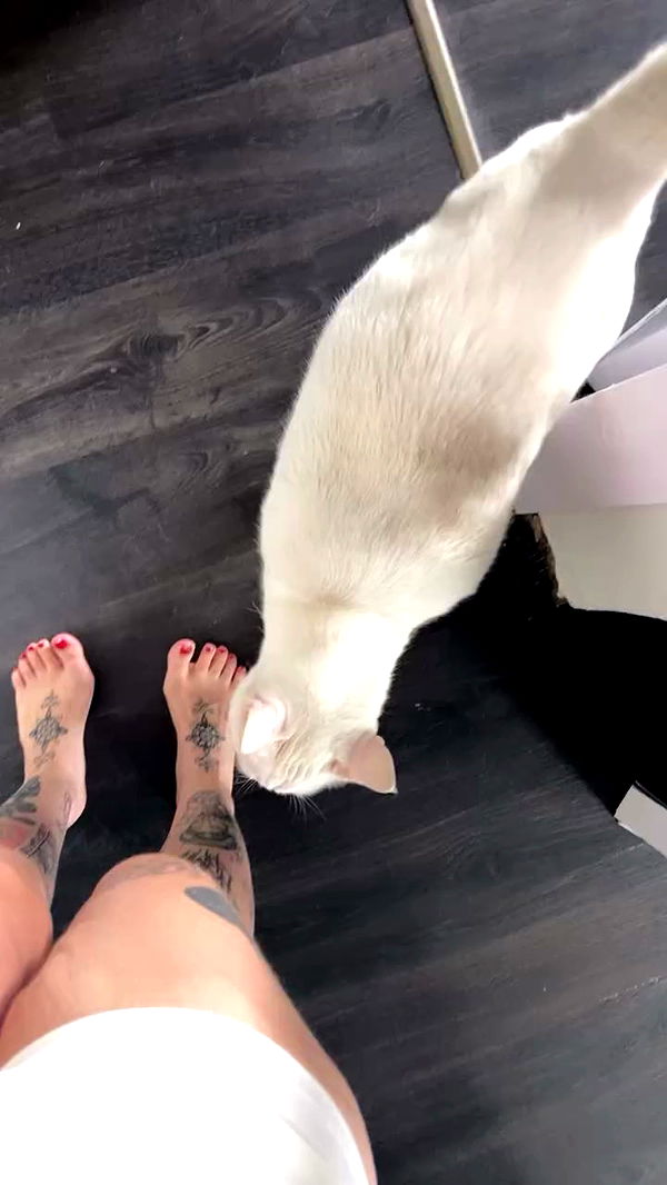 shanikaneko archive video preview