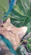 reitoshin Altpins Profile Picture