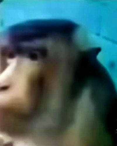 zoxmbiex zoxmbiex archive video