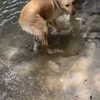 alenittta Altpins Profile Picture
