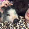 novahnovielli Altpins Profile Picture