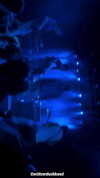 jessysiner Altpins Profile Picture