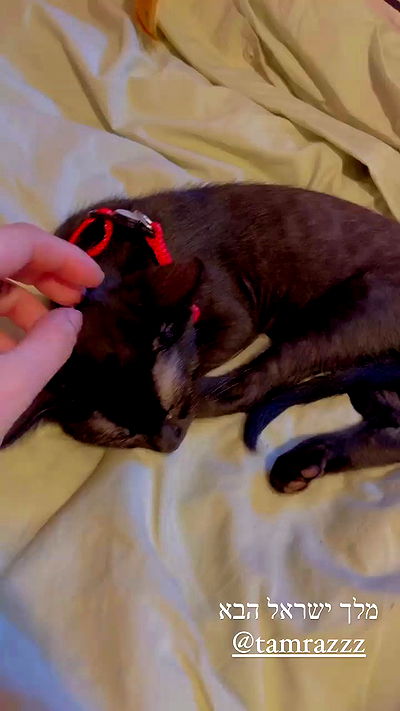 feelbetterinmysweater feelbetterinmysweater archive video