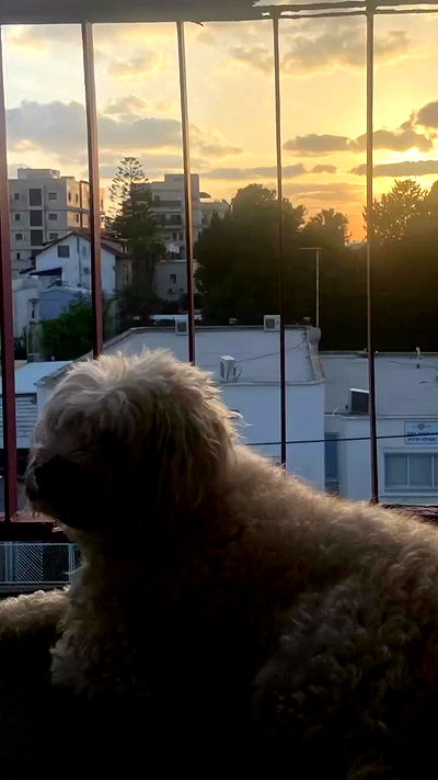 feelbetterinmysweater feelbetterinmysweater archive video