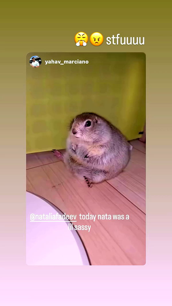 nataliafadeev archive video preview