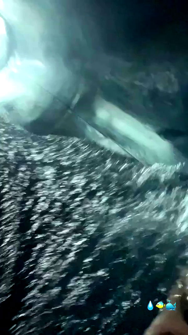 payton.r archive video preview