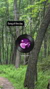 zz.eazoning Altpins Profile Picture