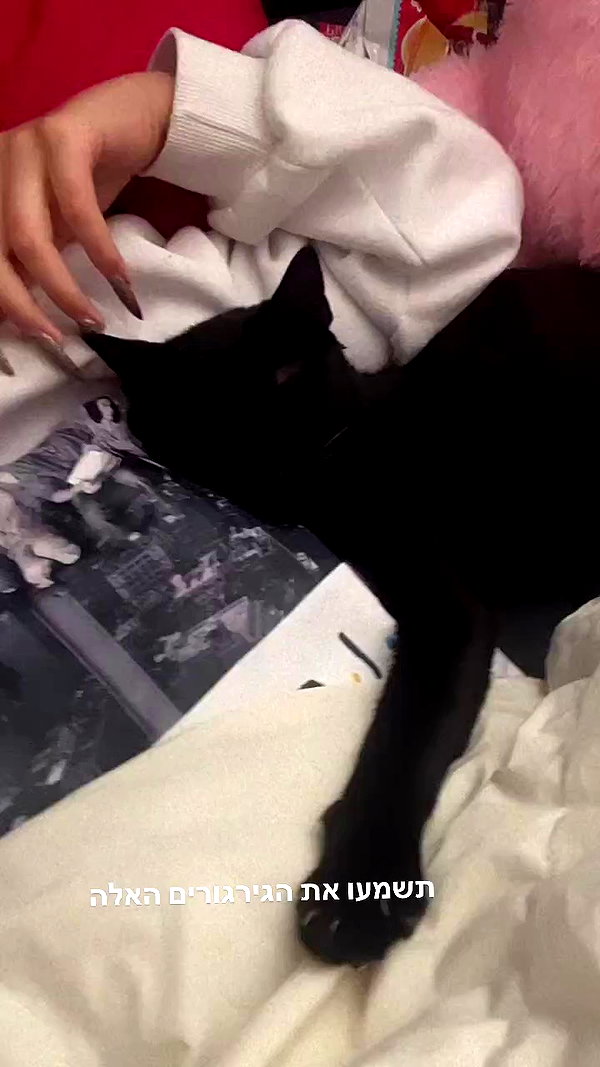 rebecka_tsadok archive video preview
