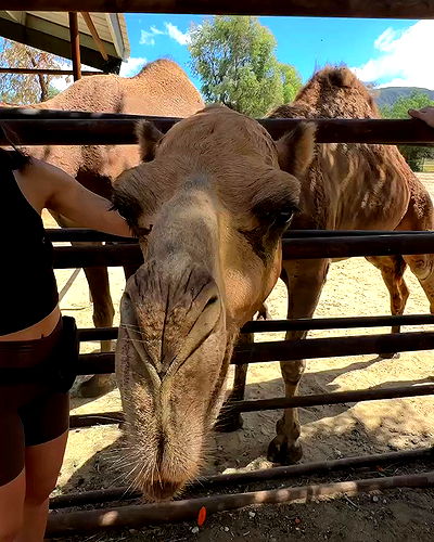 itsmaddy itsmaddy archive video