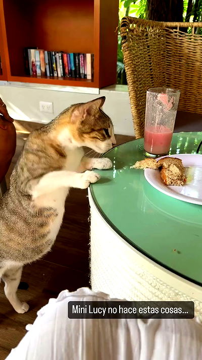 shunli__mei shunli__mei archive video