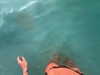arigins________ Altpins Profile Picture