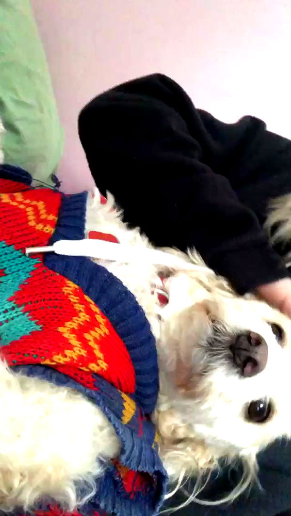 feelbetterinmysweater archive video preview