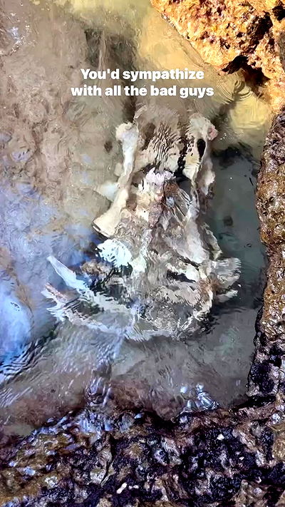 feelbetterinmysweater feelbetterinmysweater archive video