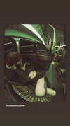 _laleonetti_ Altpins Profile Picture