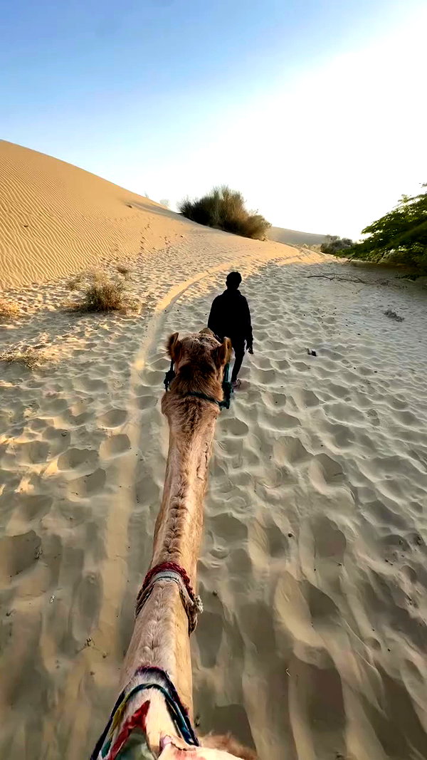 noa_mendel_ archive video preview