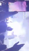__noamche__ Altpins Profile Picture