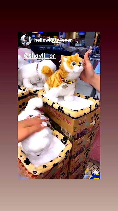 shayli_or shayli_or archive video