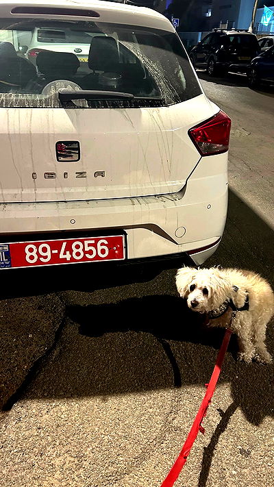 feelbetterinmysweater feelbetterinmysweater archive video