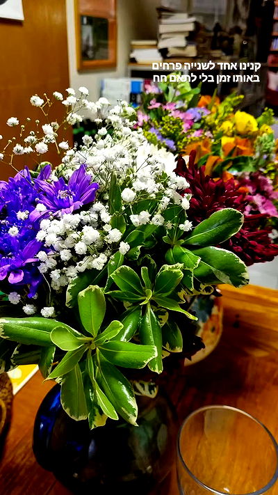 shayli_or shayli_or archive video