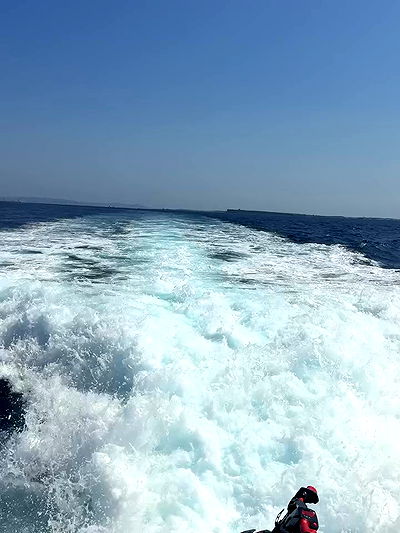 payton.r payton.r archive video