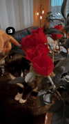 1kyle8_ Altpins Profile Picture