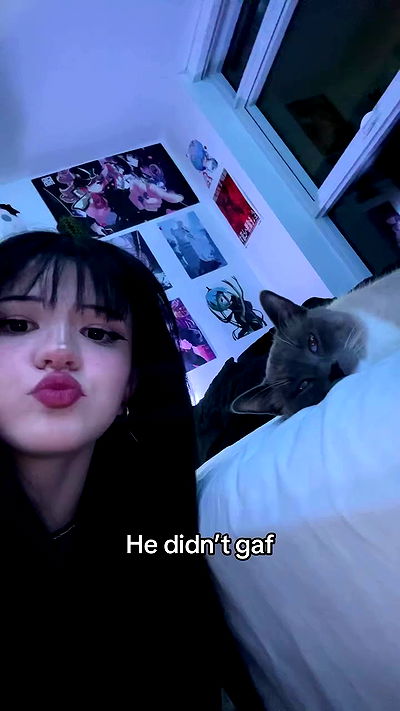 wuvkyu wuvkyu archive video