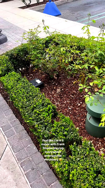 bakedsloths bakedsloths archive video