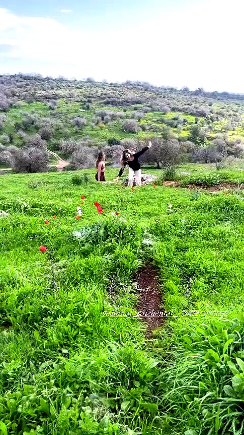 liad.arazi archive video preview