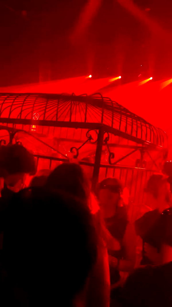 n3m4la_ archive video preview