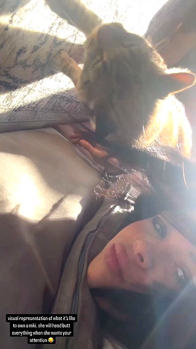 suikomuu suikomuu archive video