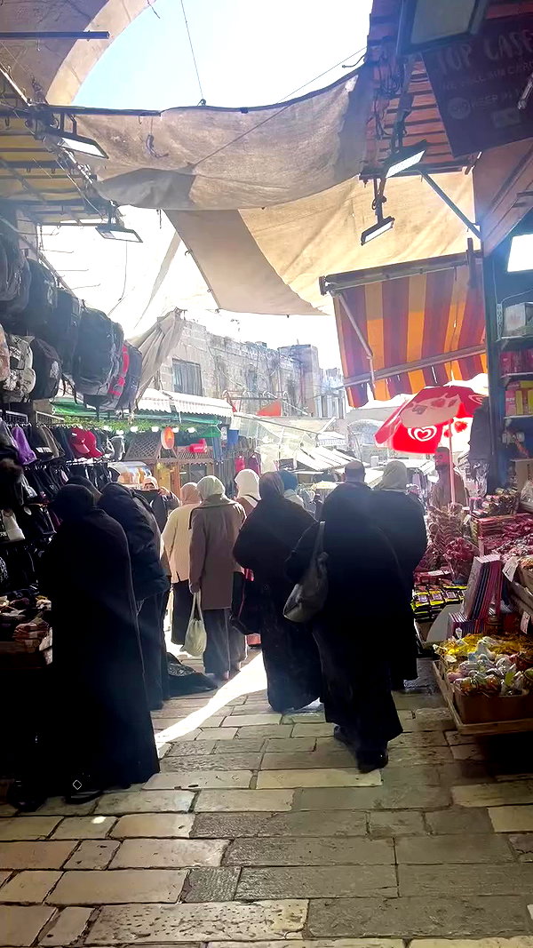 _femalien archive video preview