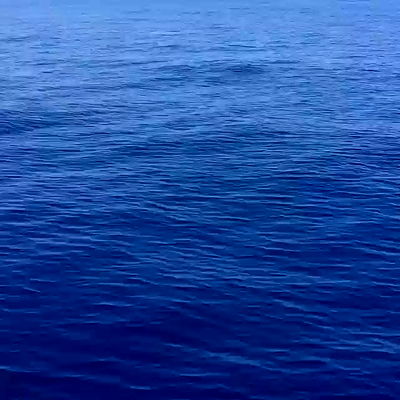 napopo_pub napopo_pub archive video