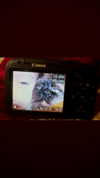 6a1it Altpins Profile Picture