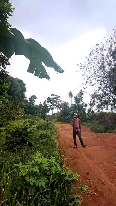 tinapavlov.sky tinapavlov.sky archive video