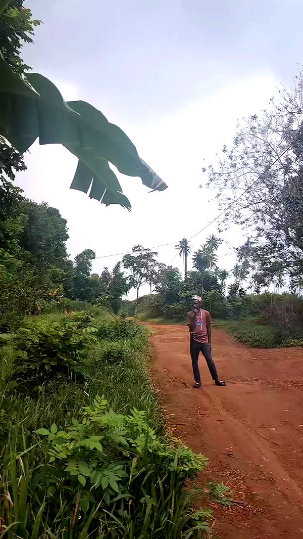 tinapavlov.sky archive video preview