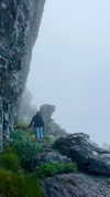 noa_mendel_ Altpins Profile Picture