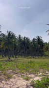 roni__moalem Altpins Profile Picture