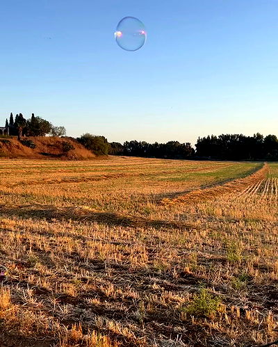 rebecka_tsadok rebecka_tsadok archive video