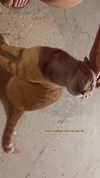 sonia_kalabin Altpins Profile Picture
