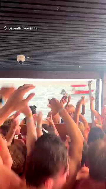 ellamwatts_ ellamwatts_ archive video