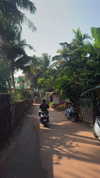noa_mendel_ Altpins Profile Picture