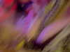 mbbyaya Altpins Profile Picture