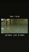 shaipeleg Altpins Profile Picture