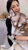 mamyouu_star Altpins Profile Picture