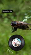 zz.eazoning Altpins Profile Picture