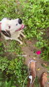 yumisback17 Altpins Profile Picture