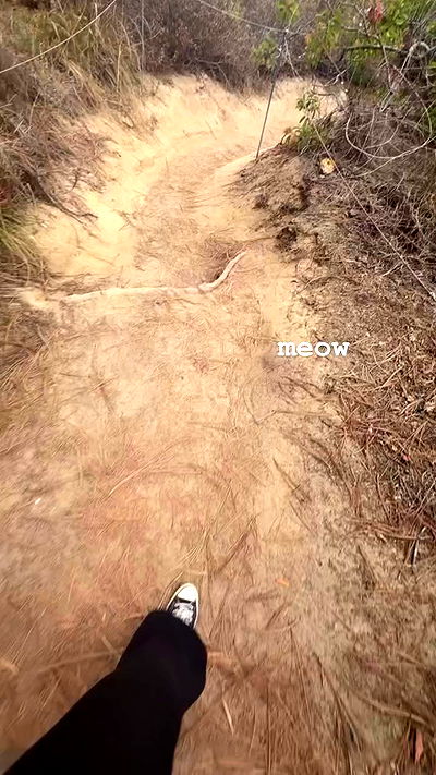 viezery viezery archive video