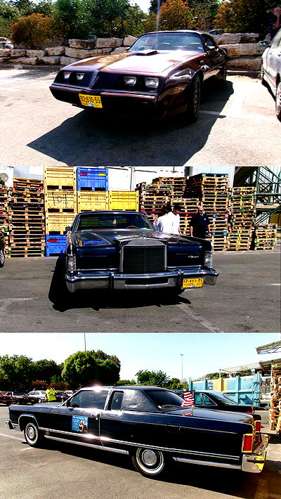 simp_for_cats_ simp_for_cats_ archive video