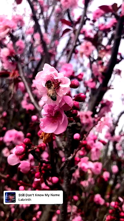 piper.jaylen piper.jaylen archive video