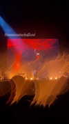 flo_holland53 Altpins Profile Picture